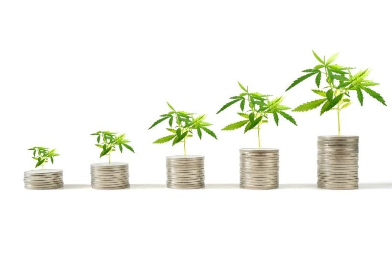 Cannabis and The Use of Cannabinoids Cannabis and The Use of Cannabinoids
